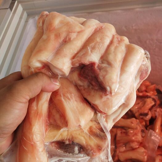锡林浩特 内蒙古锡林郭勒牛蹄筋，筋大鲜香，饭店烧烤店。