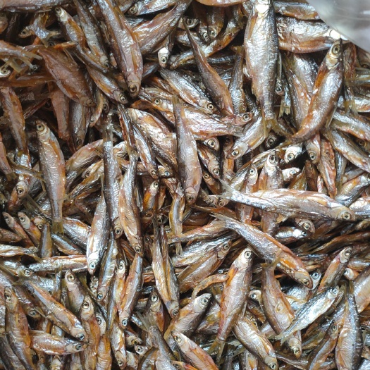 虞城县翘嘴白鱼干 不开肚子3/5白条