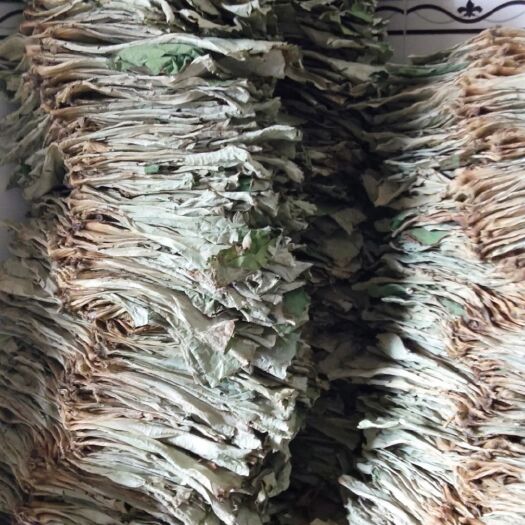 石城县 荷叶大叶，产地直销2020新鲜天然晒干整张荷叶大叶食品专用