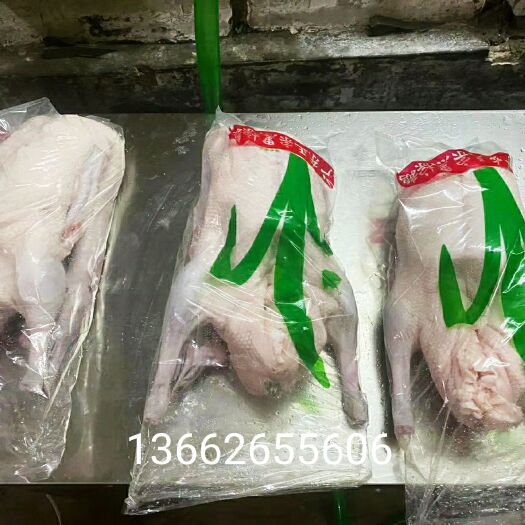 白条鹅 新鲜