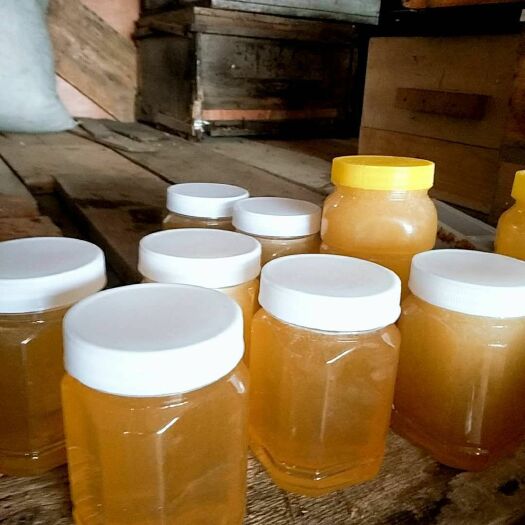 海林市土蜂蜜 2年以上 41 本品不能代替药物