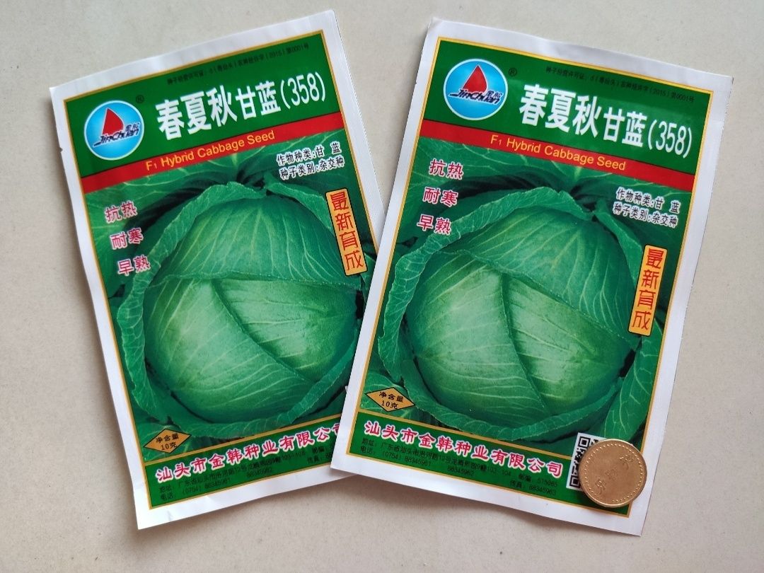  金韩 金船 春夏秋358甘蓝种子 包菜种子 抗病抗裂抗热