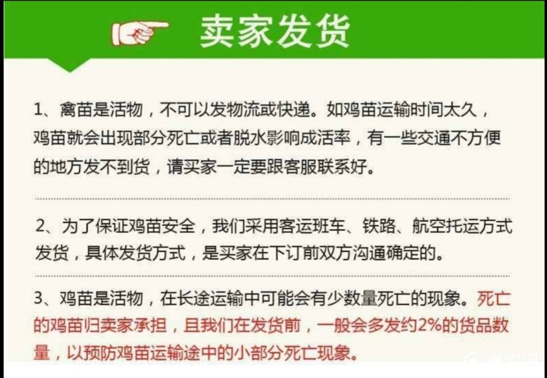 快大黄鸡苗  快大黄九斤黄打液氮马立刻疫苗，包路途存活，包发货到家