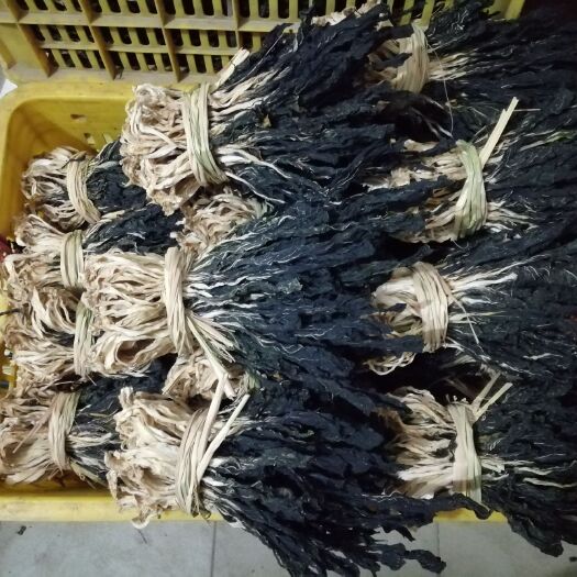 英德市小白菜种子 白菜种子 精选品种有货 有种子 有加工技术