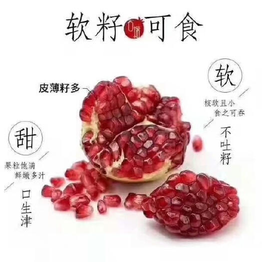 会理市 会理石榴
