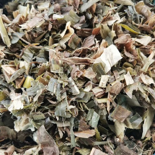 玉米青贮  玉米全珠