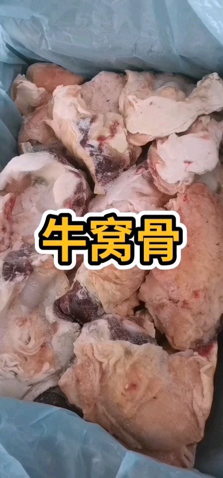 阳信县 带肉牛窝骨