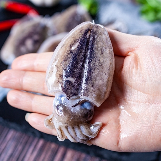 北海北海墨鱼 小墨鱼大墨鱼墨鱼新鲜鱿鱼乌贼海鲜冷冻北海