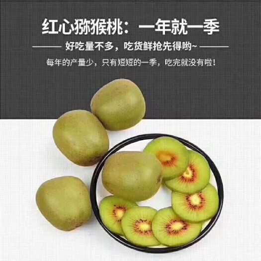 遂昌县 红心猕猴桃上市，这短短的一季你难道就没有一点心动和行动吗？