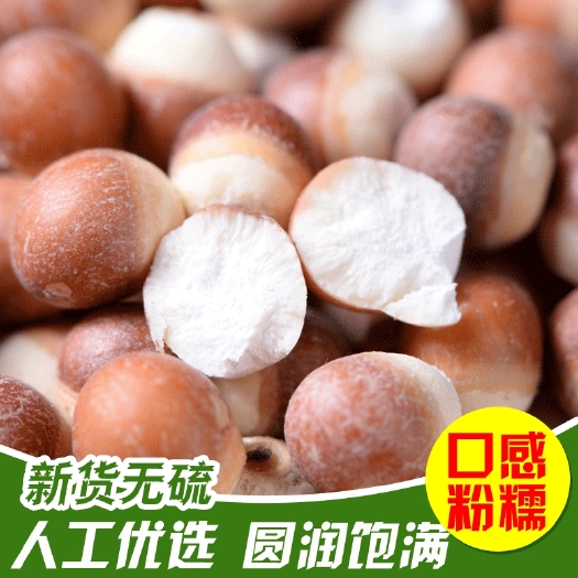 广州 中药材芡实新鲜 芡实个 肇庆芡实米 大芡实干货芡实半边开无硫