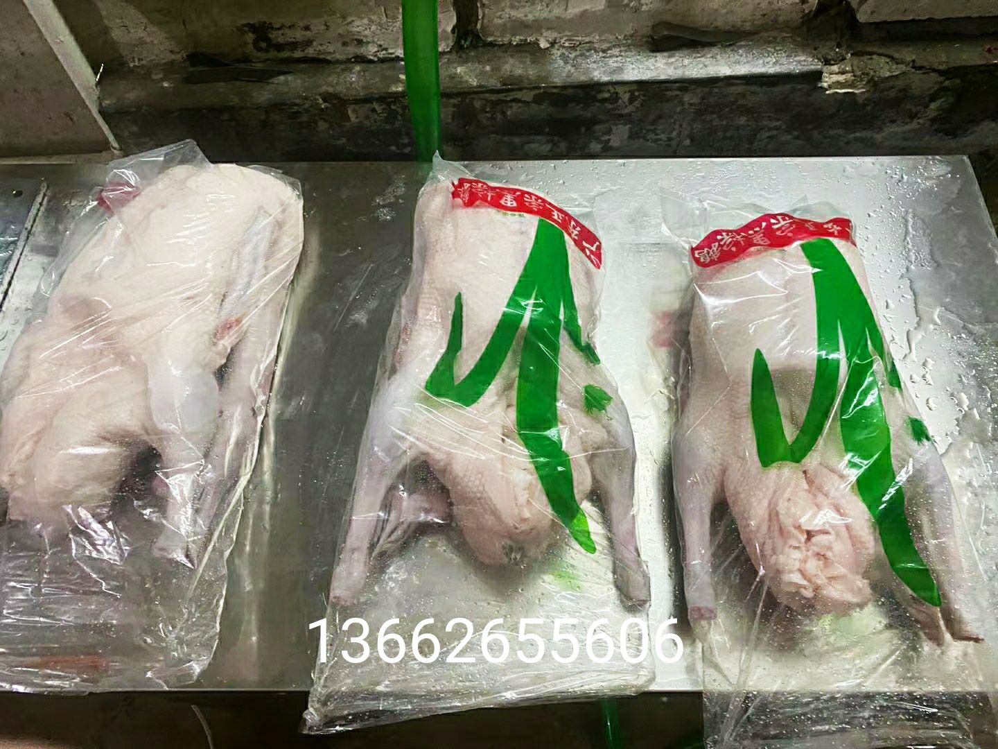  清远黑棕鹅，棚鹅，烧鹅。冰鲜，急冻，光鹅。
