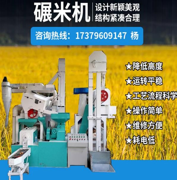 大型商用组合碾米机新型去沙20吨打米机稻谷剥壳机中型水稻剥壳