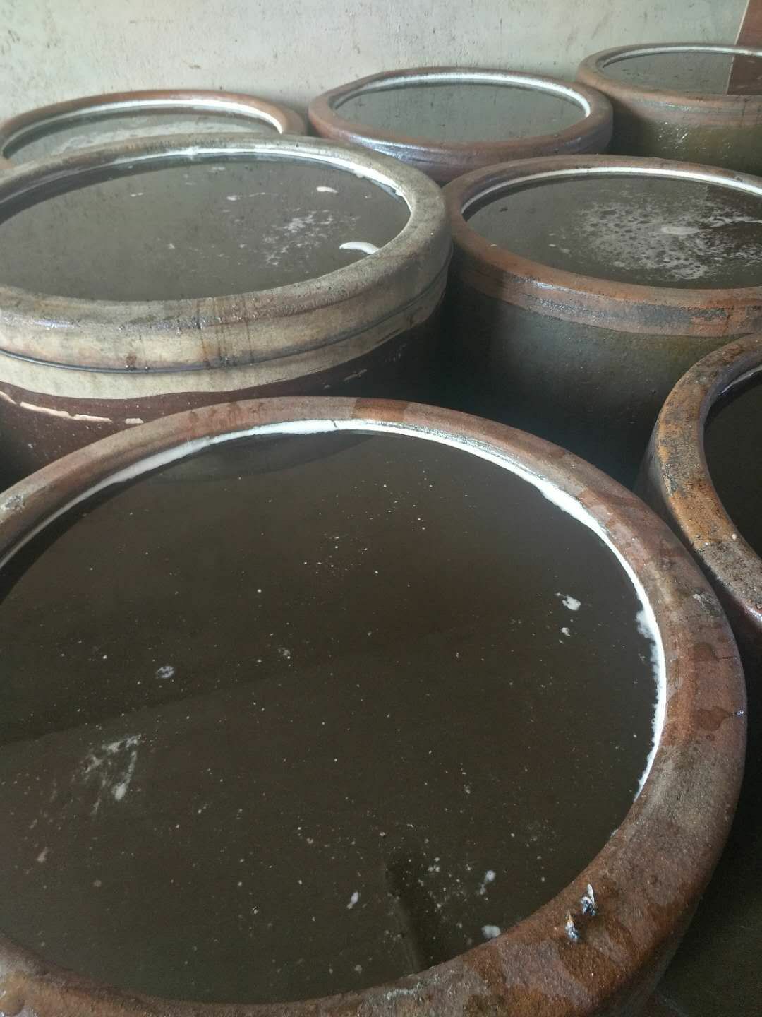  东北天然椴树蜜