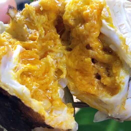 淮安 洪泽湖精品大闸蟹