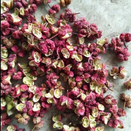 洛阳大红袍花椒 一级 干花椒