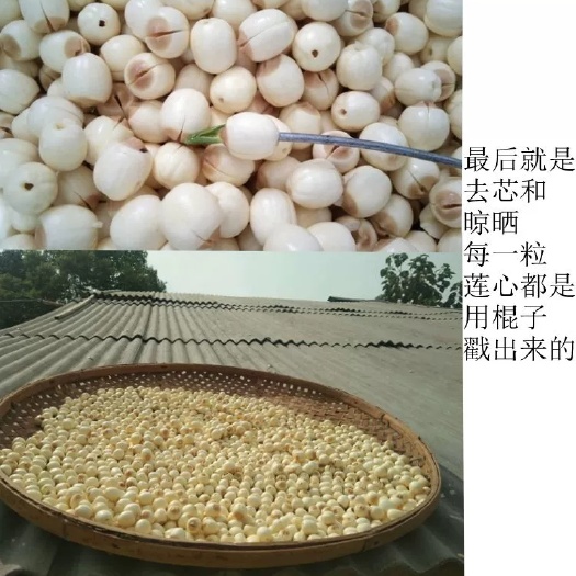 湘潭县通芯莲 莲城农家纯手工去芯白莲干货（可零售可批发长期合作价格可谈）