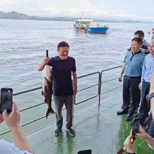 淳安县雄鱼 花鲢 千岛湖包头鱼