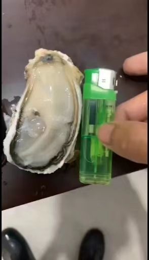 诏安县福建生蚝 生鲜批发