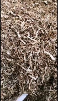 渭源县东当归  当归饮片
