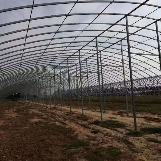 东台市热镀锌管 养殖大棚蔬菜大棚