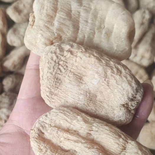 昆明天麻 昭通天麻 昭通小草坝天麻 红天麻 白麻 永善天麻
