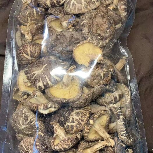 和平县原木干香菇  原木香菇