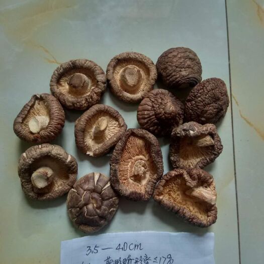 随县 香菇