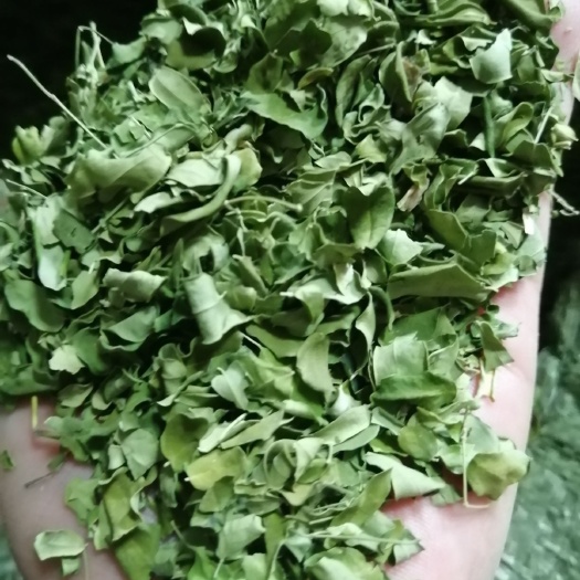 辣木籽  辣木叶 辣木干叶 产地辣木叶直销