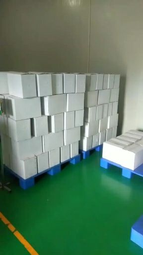 神秘果 云南省临沧市镇康县引进澳洲夏威夷果，果仔饱满营养丰富