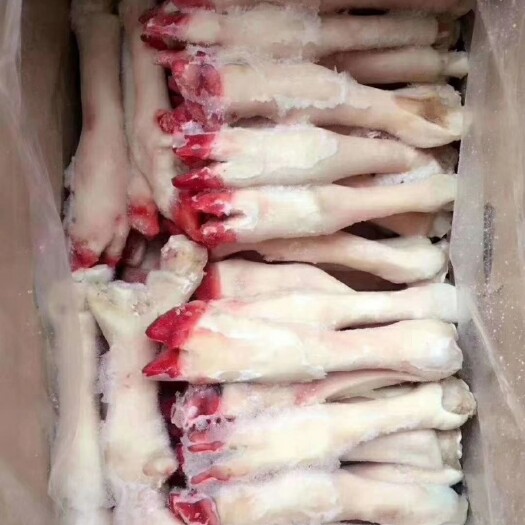 阳信县兆达畜产品大量批发煺毛羊蹄