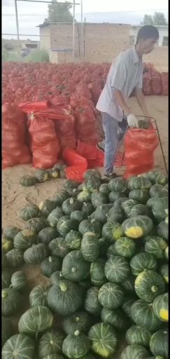 板栗南瓜，干，面，甜，产地直销