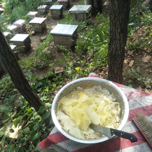 宽城县土蜂蜜  深山出好蜜，天然，高营养，就选土蜂百花蜜