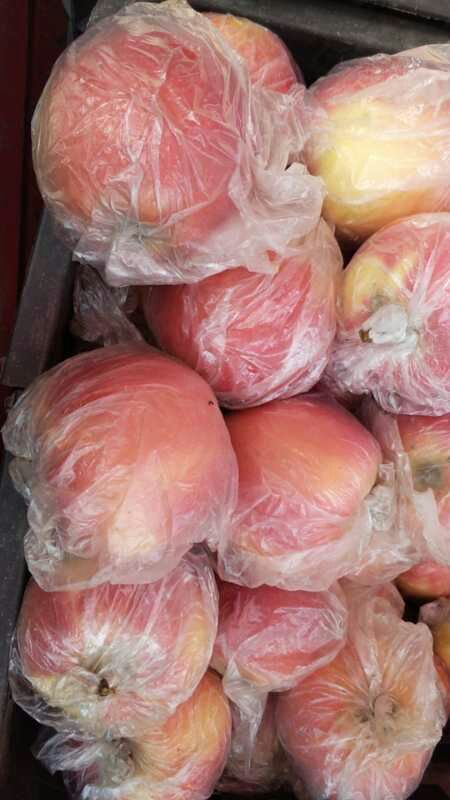 商丘 无公害优质苹果