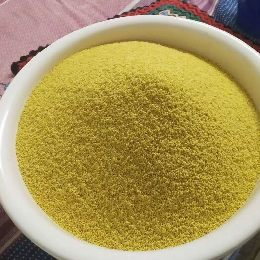 米脂县 陕北米脂县小米杂粮