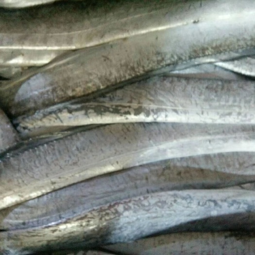 莆田 东海内海带鱼