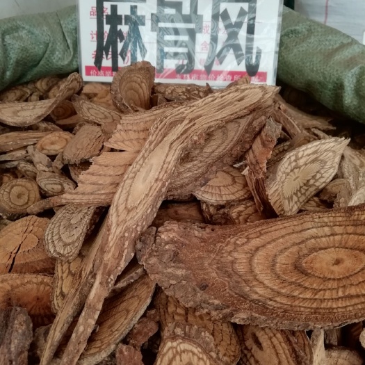 玉林 广西原生中药材麻骨风 买麻藤 买子藤 驳骨藤 大节藤