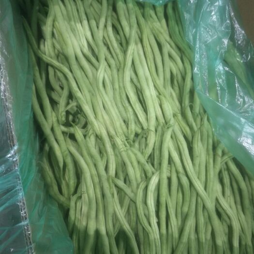武山县架豆王豆角  武山架豆王便宜了，量大从优