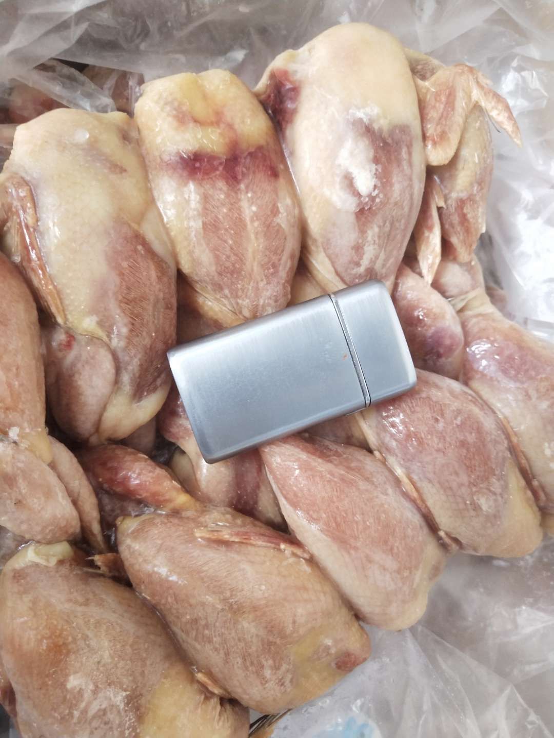  鹌鹑  放血大鹌鹑二点七八两一只