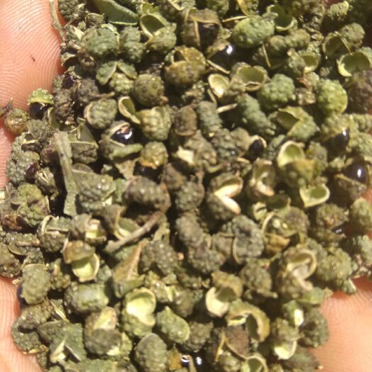 宜良县 我的青花椒不打药，不追无机肥，只追羊粪，天然绿色食品