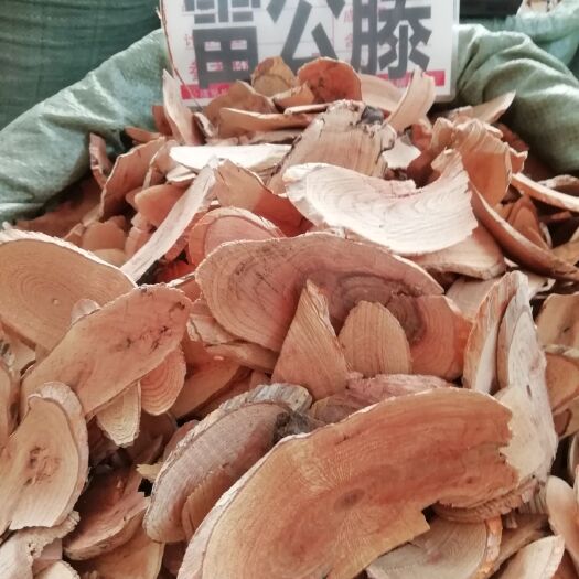 玉林 雷公藤  中药材原生新货 雷公藤根 新鲜晒干切片