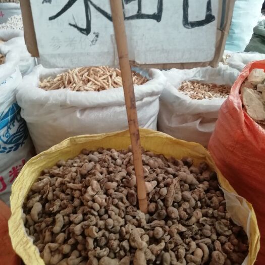 玉林水三七中药材偏冷正品水田七 水虾公 屈头鸡土三七水鸡仔