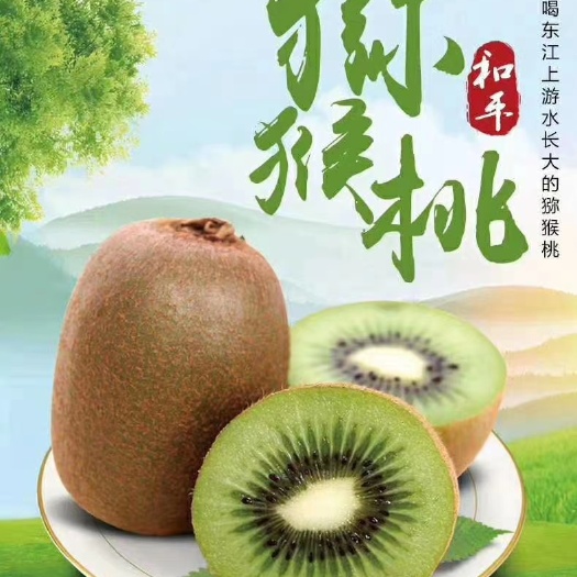 趣香  包邮果场直发，我们粤北山区中国最南端猕猴桃基地，诚招合作伙伴