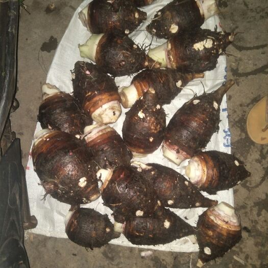 博白县 自产自销荔浦芋头新鲜上市