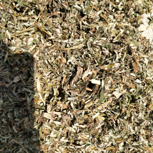 叶县艾        艾叶           切断
