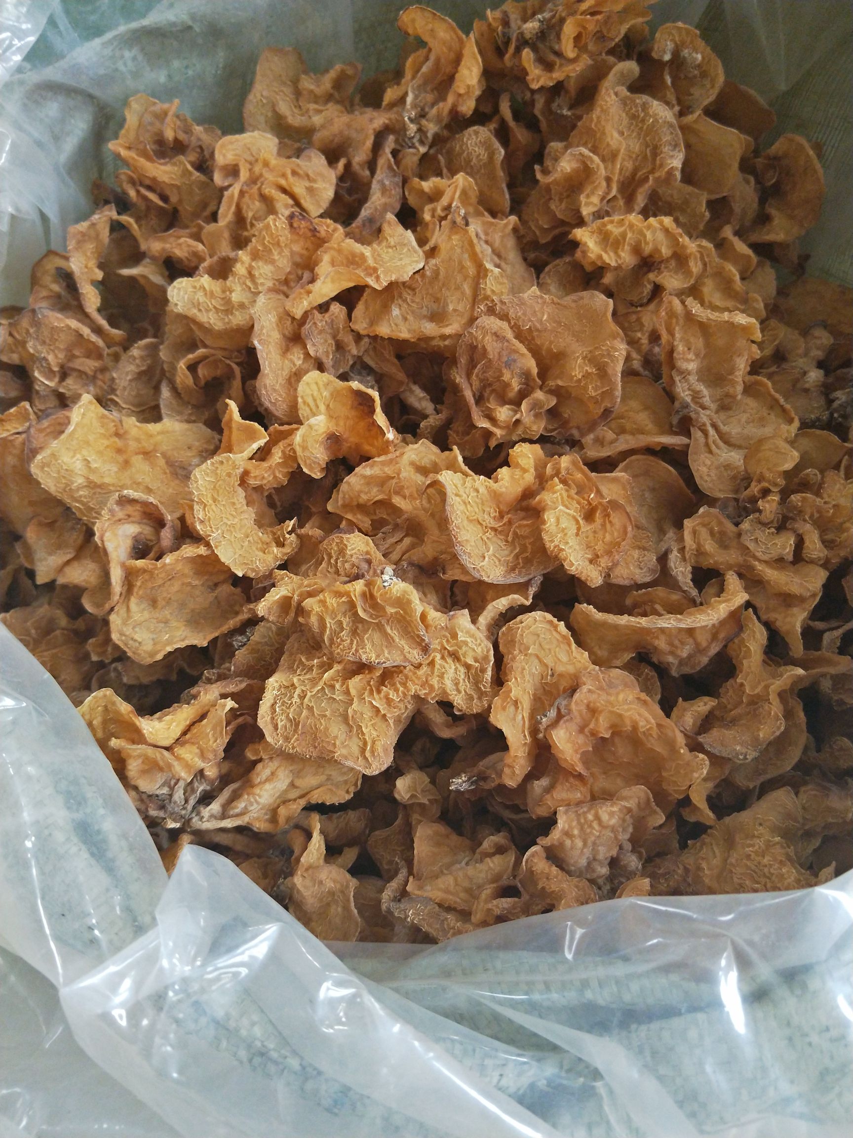 羊肚耳沙耳珍珠菌优质兔耳菌菇羊肚菌野生菌干鲜品猪肚菌竹耳