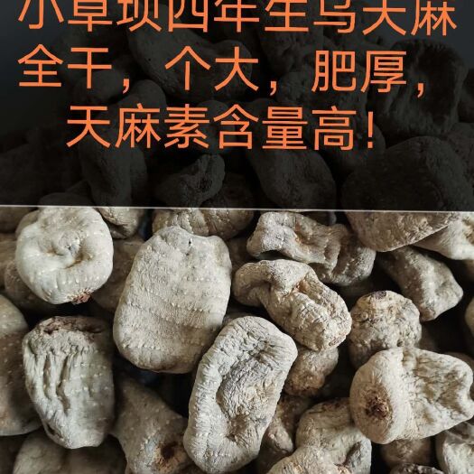 彝良县批发全干云南昭通天麻小草坝天麻多年生乌天麻包邮支持代发