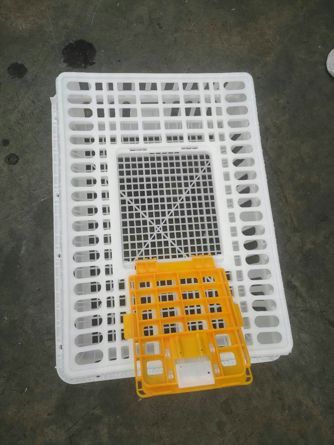 鸡笼  鸡鸭禽类运输笼周转框