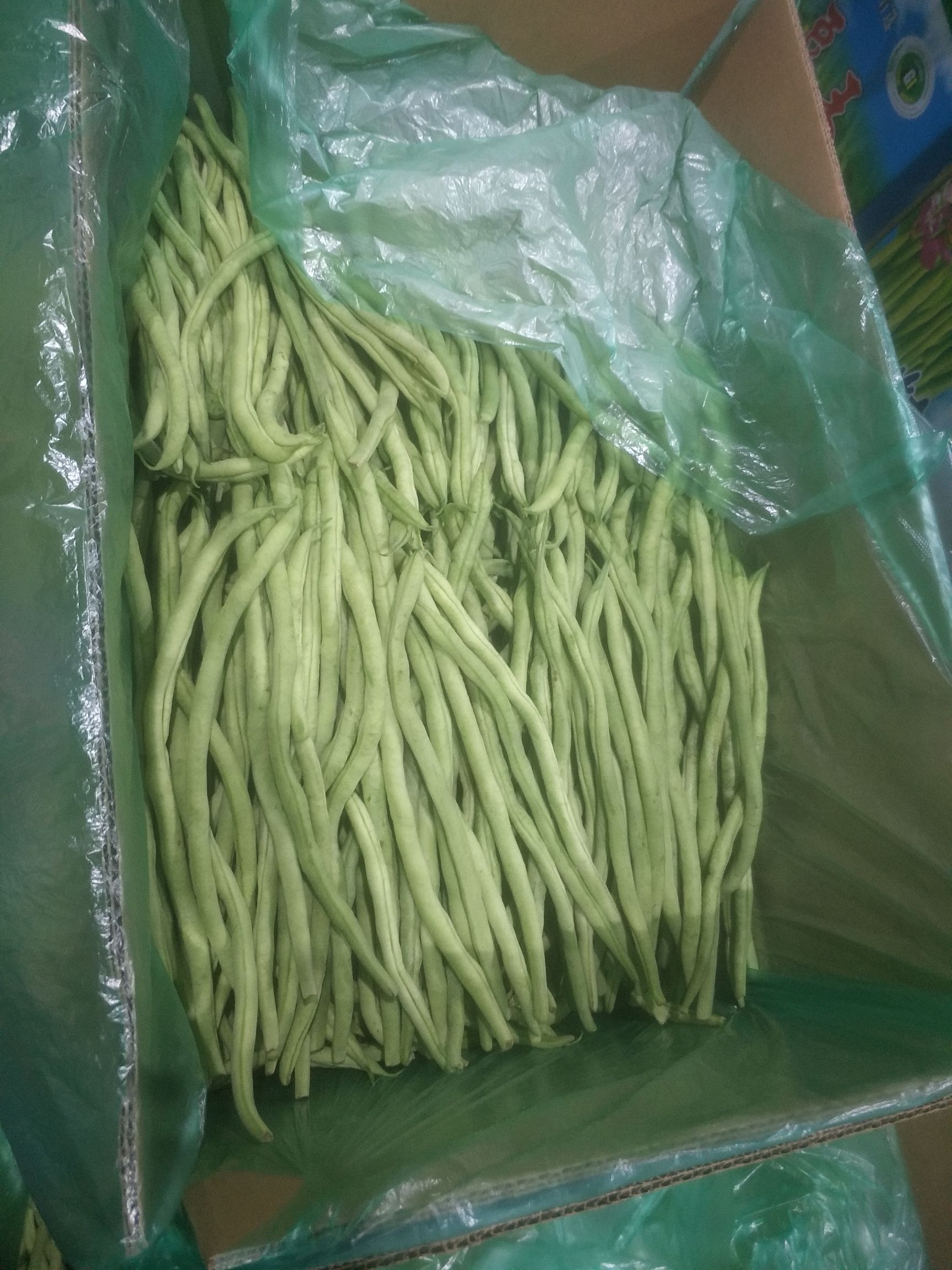 架豆王豆角  武山架豆王便宜了，量大从优