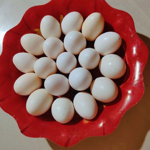 景县 （50枚/箱，100枚/箱）农村散养土鸡蛋，无饲料喂养
