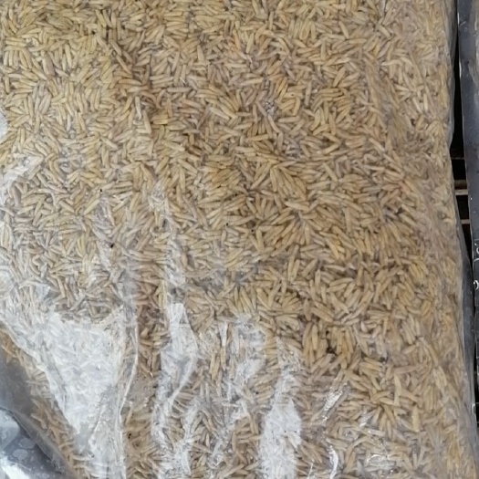 特种养殖饲料  水产养殖鱼虾蟹冷冻优质蛋白饲料昆虫